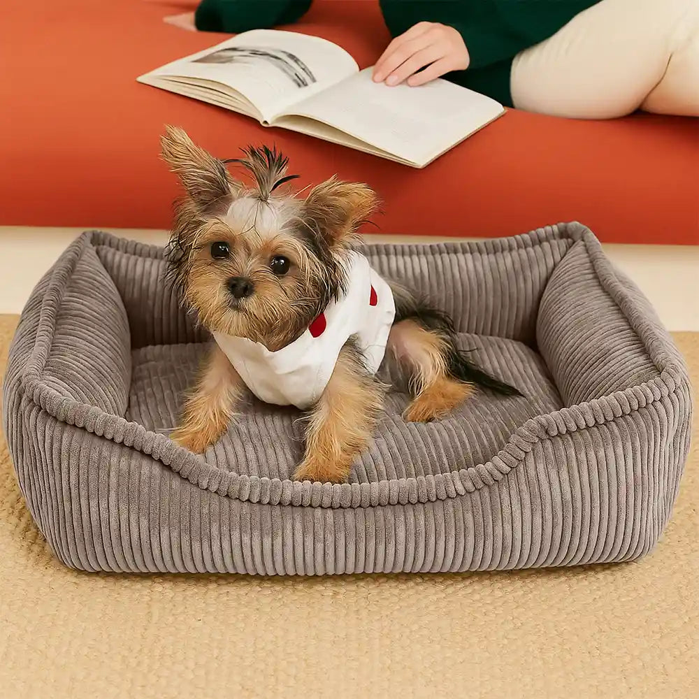 All-Season Cosy Durable Corduroy Dog Sofa Bed for Small & Medium Dogs