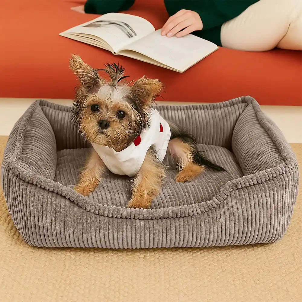 All-Season Cosy Durable Corduroy Dog Sofa Bed for Small & Medium Dogs