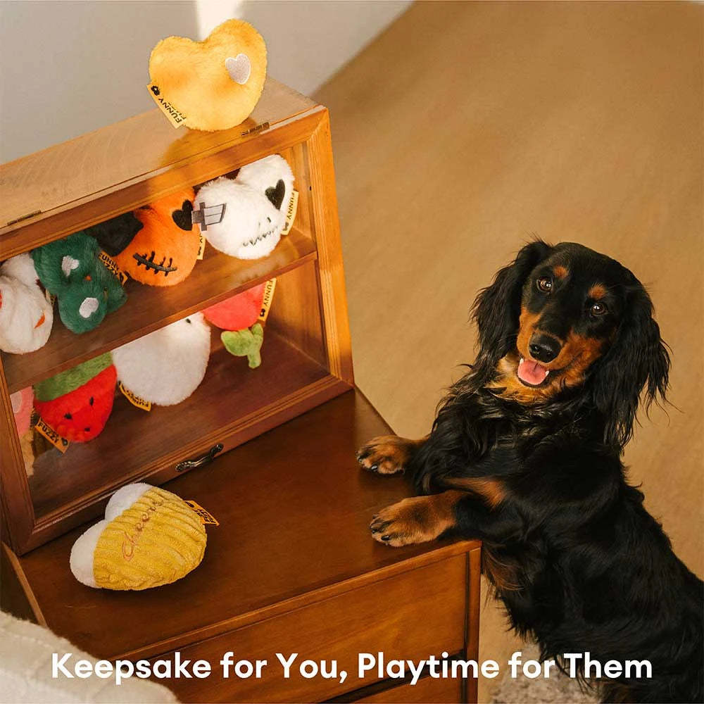 FUNNYFUZZY Limited Edition Toy Box