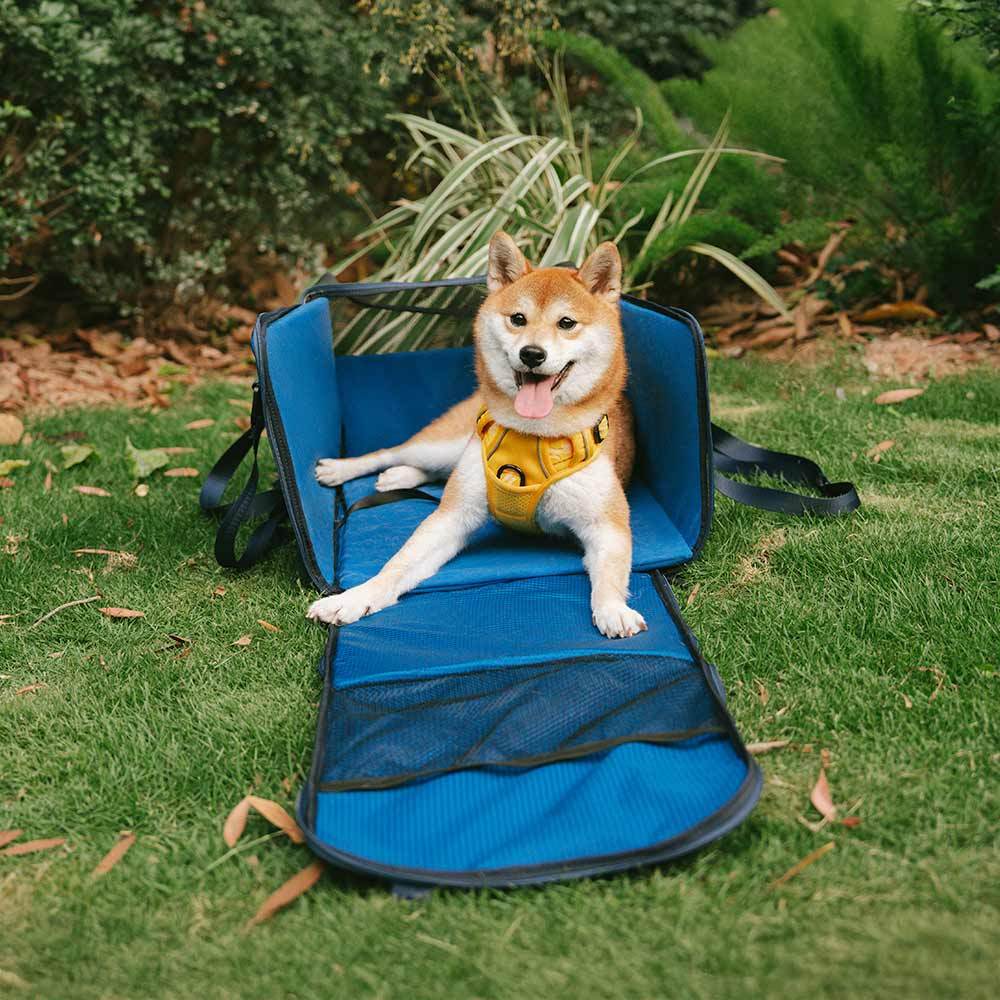 Lightweight Waterproof Safety Dog Booster Car Seat & Pet Carrier - Gympet