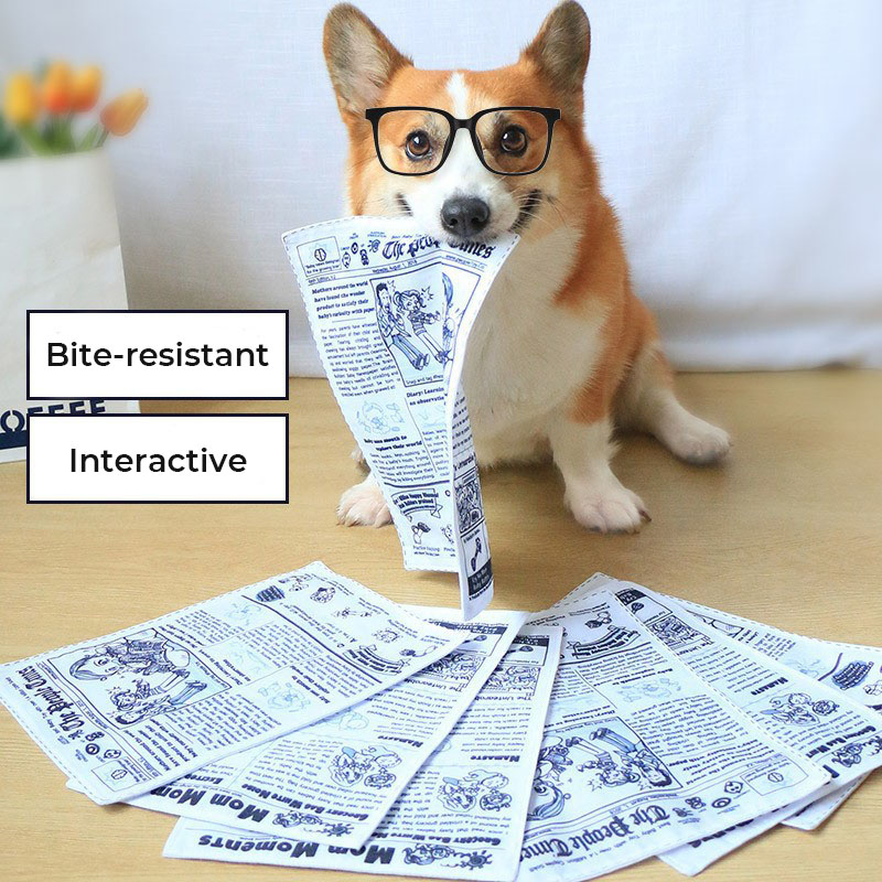 Realistic Newspaper Bite-resistant Dog Squeaky Toy