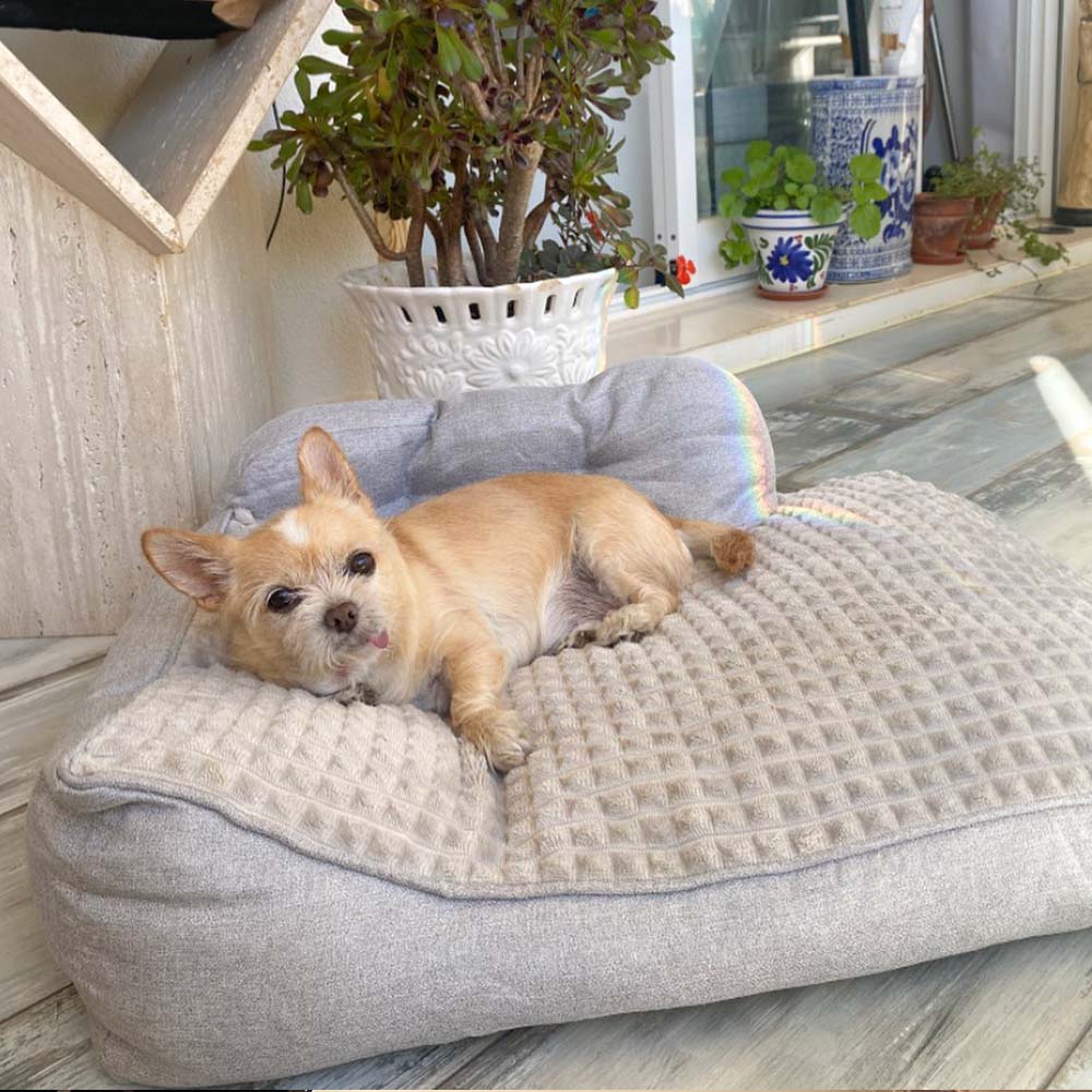 https://img-va.myshopline.com/image/store/1679367631642/All-Seasons-Thickened-Large-Washable-Cat-Dog-Pillow-Bed-IG-1.jpeg?w=1000&h=1000