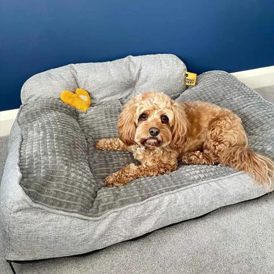 how to clean a non washable dog bed