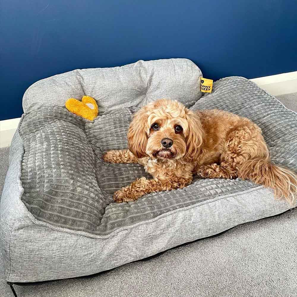 https://img-va.myshopline.com/image/store/1679367631642/All-Seasons-Thickened-Large-Washable-Cat-Dog-Pillow-Bed-IG-3.jpeg?w=1000&h=1000