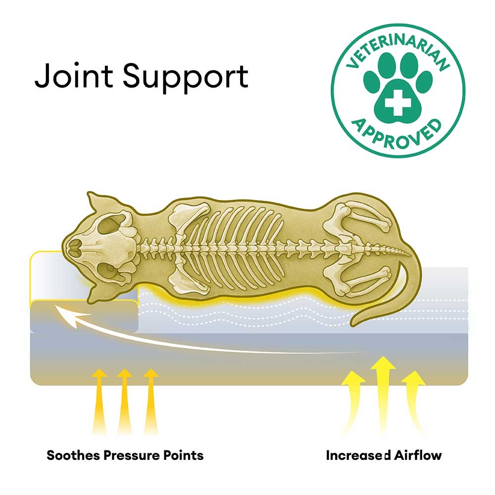 Anti-Anxiety with Sponge Support Deep Sleeping Dog Bed