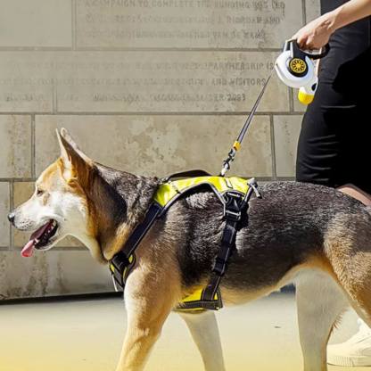 Automatic Explosion-Proof Retractable Dog Lead for Medium to Large Dogs