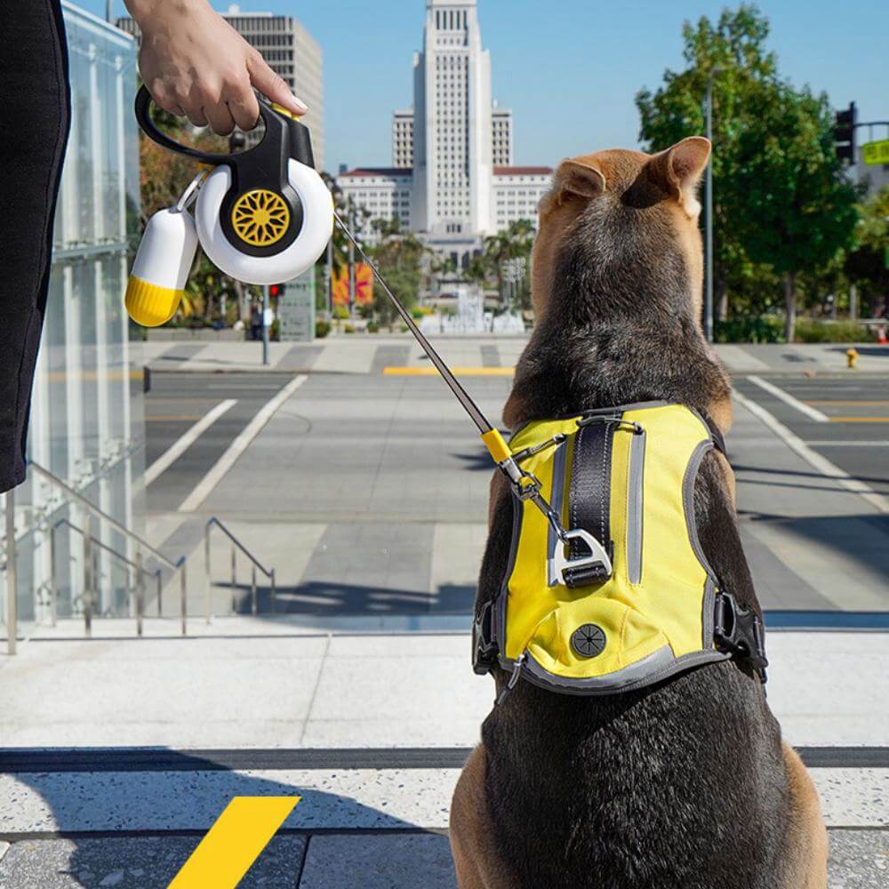 Automatic Explosion-Proof Retractable Dog Lead for Medium to Large Dogs