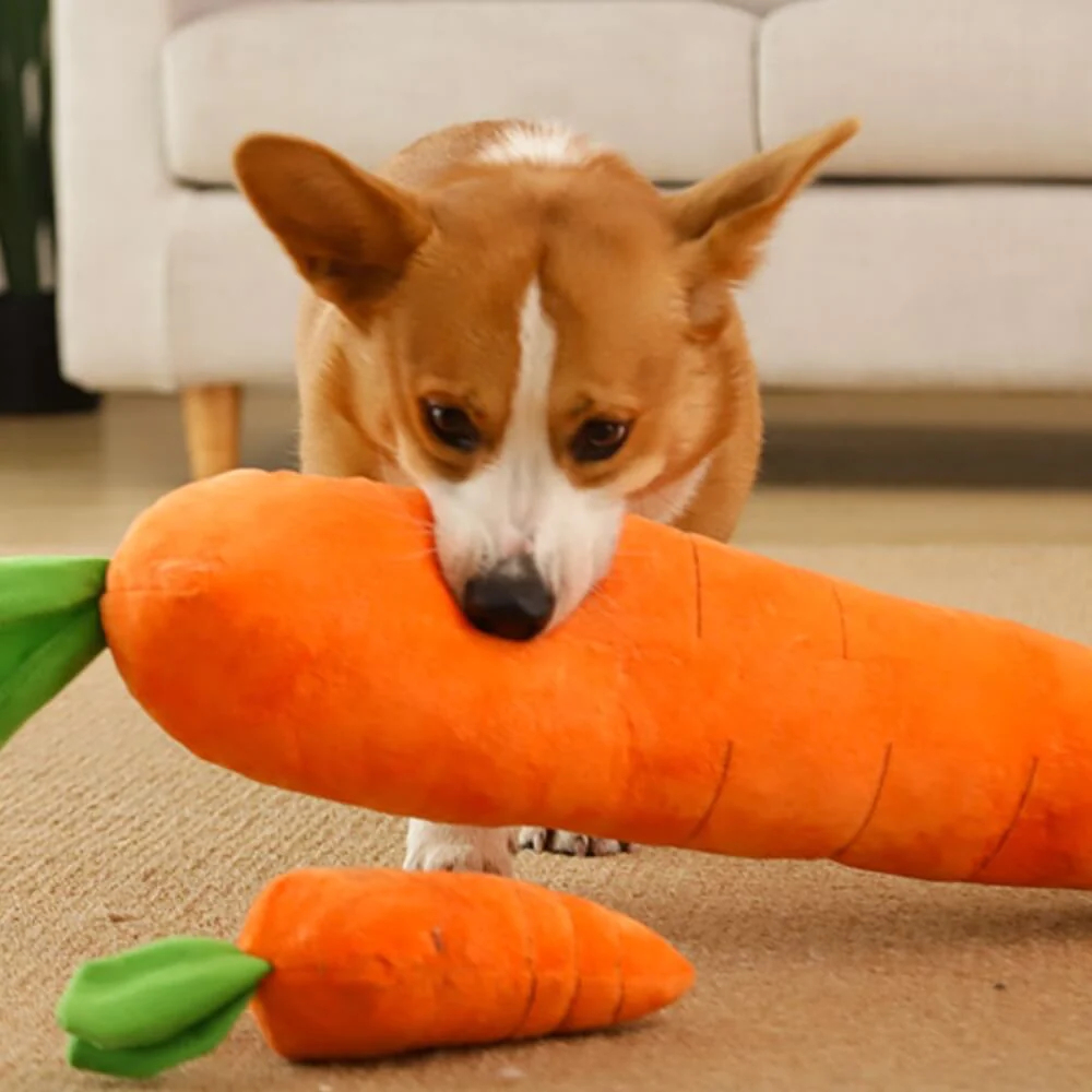 Carrot Squeaky Plush Toy Dog Interactive Toy