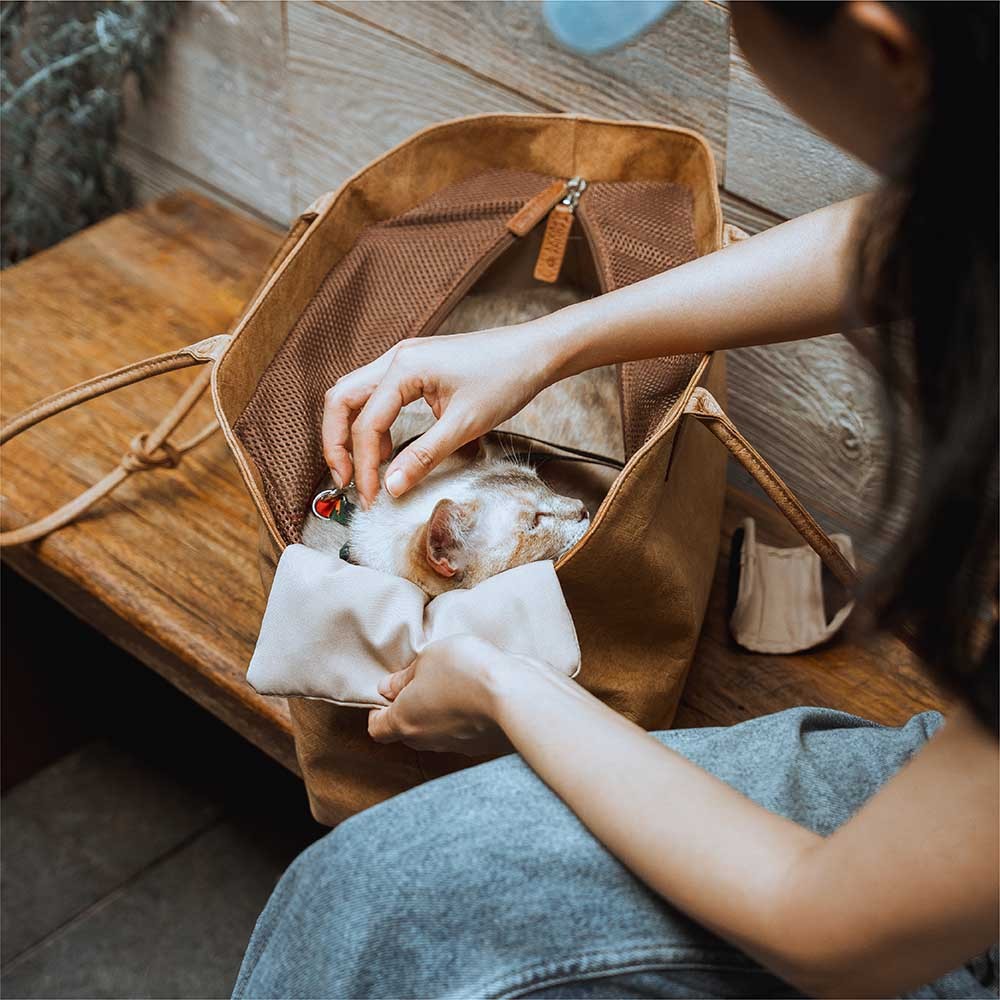 Vogue Eco-friendly Dupont Waterproof Pet Carrier - City Roamer