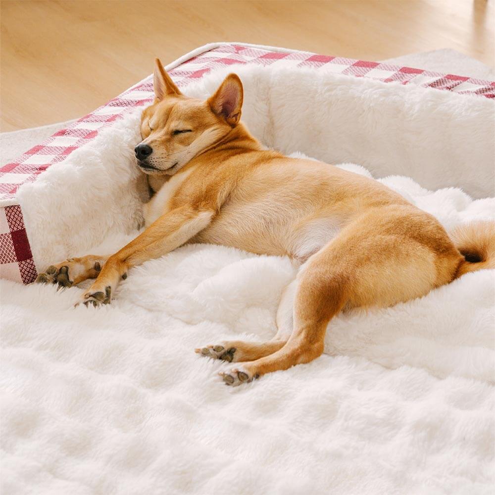 Ergonomic dog bed best sale