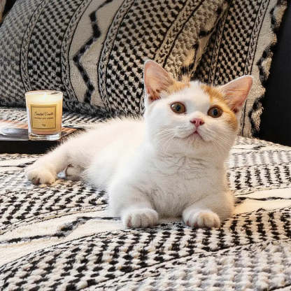 Classic Plaid Plush Scratch-Resistant Comfortable Non-Slip Sofa Cover