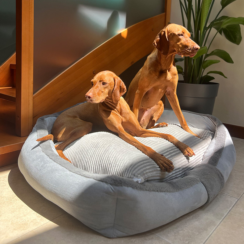 Vintage Warm Dog Sofa Bed