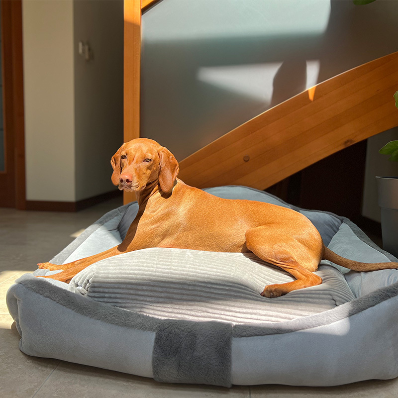 Vintage Warm Dog Sofa Bed