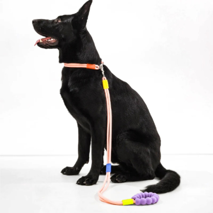 Candy Floss Dual-Section Braided Dog Walking Lead