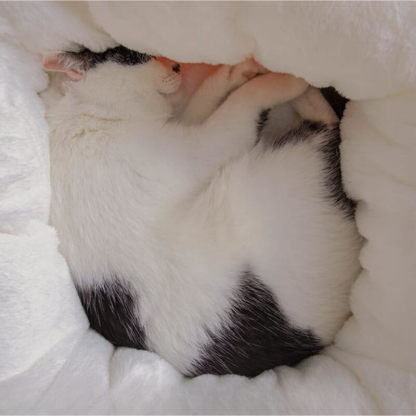 Cute Duck Human Foot Warmer Multipurpose Warm Cat Bed