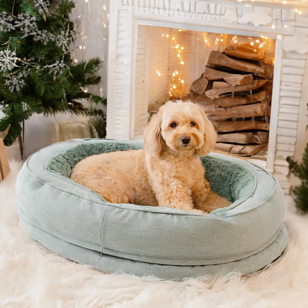 A Dog Bed Keep My Dog Warm in Winter
