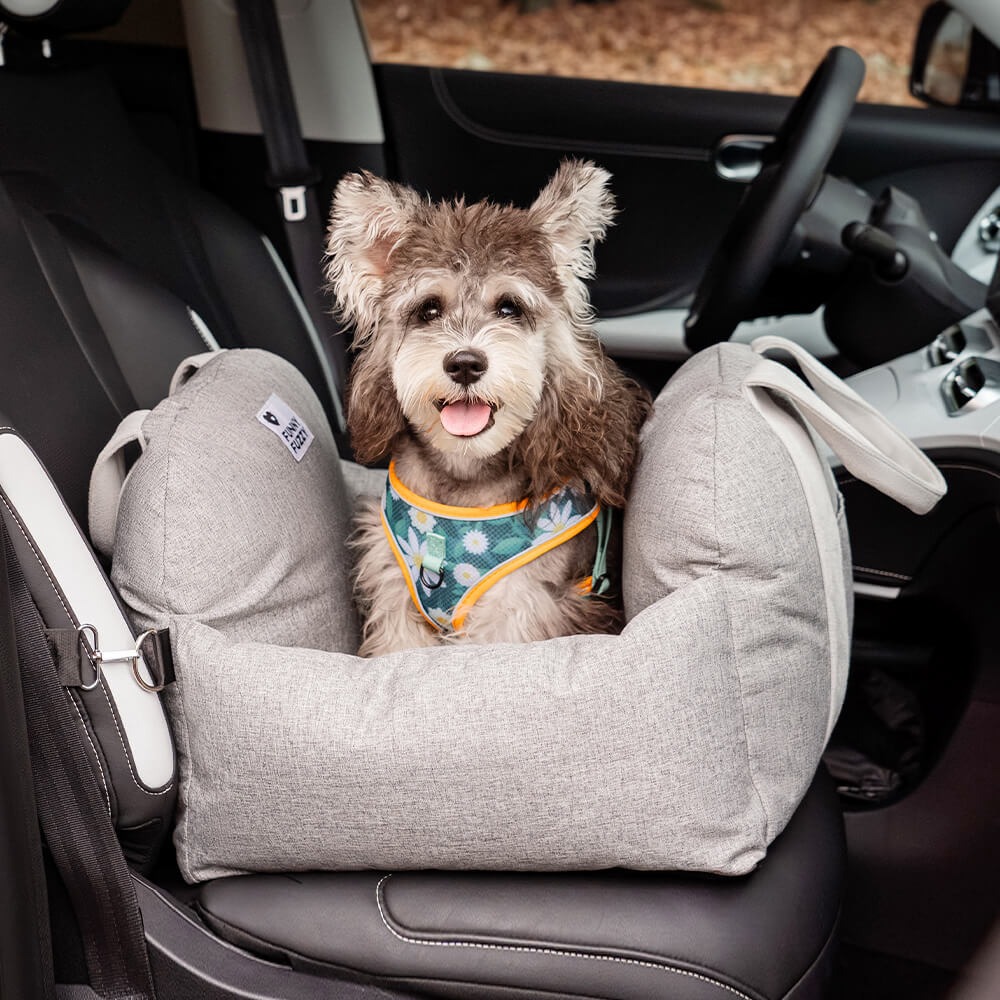 dog car seat