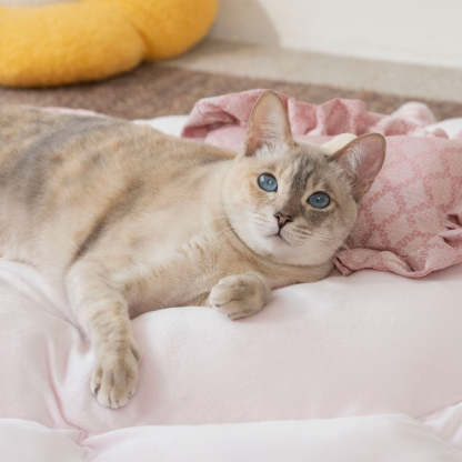 Drawstring Washable Multifunctional Round Cat Bed Mat - Floral Night Napper