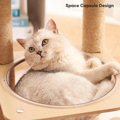 Five-Tier Cat Tree with Space Capsule and Wear-Resistant Scratching Posts