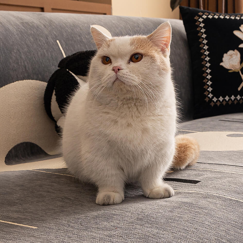 Modern Planet Cup Style Cat-Friendly Chenille Throw Sofa Cover
