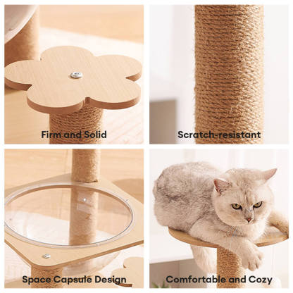 Five-Tier Cat Tree with Space Capsule and Wear-Resistant Scratching Posts