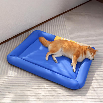 Colourblock Waterproof Scratch-Resistant All-Season Dog Mat