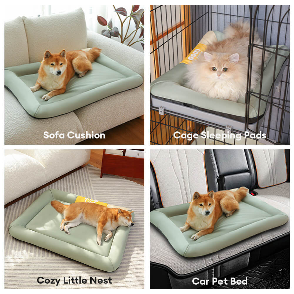 Colourblock Waterproof Scratch-Resistant All-Season Dog Mat