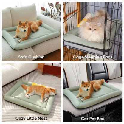 Colourblock Waterproof Scratch-Resistant All-Season Dog Mat