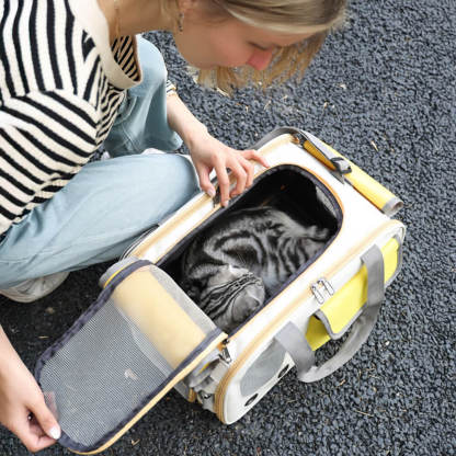 Comfortable Handle and Breathable Side Pocket Cat Carrier Bag
