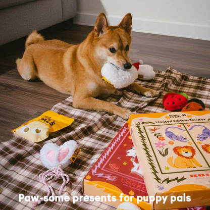 FUNNYFUZZY Limited Edition Toy Box