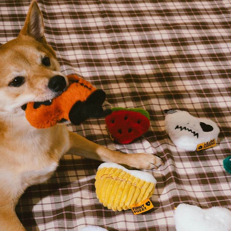 FUNNYFUZZY Limited Edition Toy Box