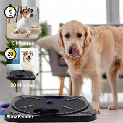2-in-1 Treat Puzzle and Nail File Toy Dog Interactive Toy