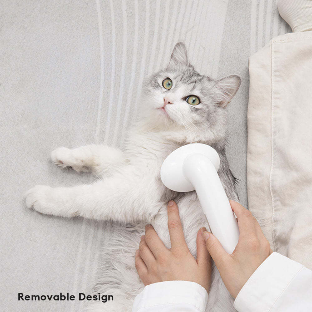 2 In 1 Shampoo Dispenser & Massage Frother Dog Bath Brush
