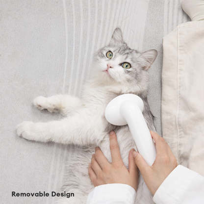 2 In 1 Shampoo Dispenser & Massage Frother Dog Bath Brush