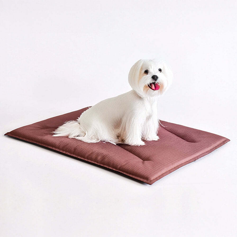Durable Scratch-Resistant Oxford Fabric Anti-Tear Dog Mat