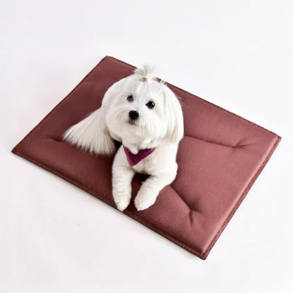 Durable Scratch-Resistant Oxford Fabric Anti-Tear Dog Mat