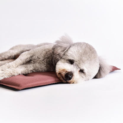 Durable Scratch-Resistant Oxford Fabric Anti-Tear Dog Mat