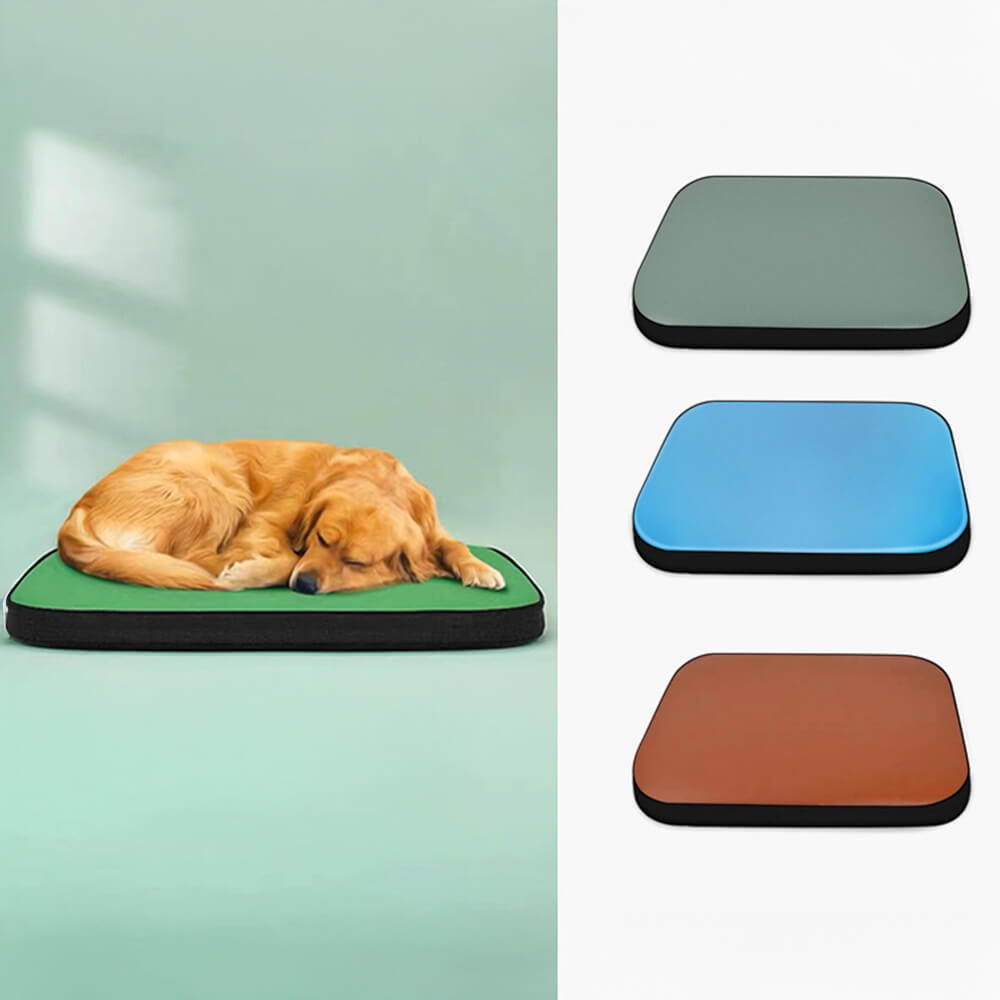 Modern Faux Leather Waterproof Odour-Blocking Hair-Resistant Dog Mat