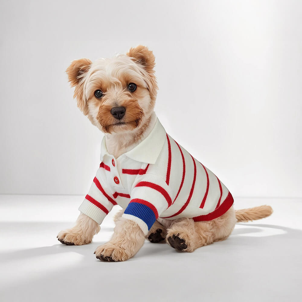 Polo dog sweater hotsell