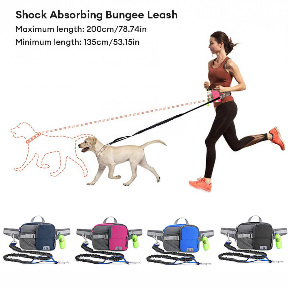 Outdoor Waterproof 3 in 1 Multi-Function Lead Dog Training Waist Bag Set