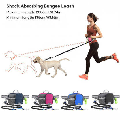 Outdoor Waterproof 3 in 1 Multi-Function Lead Dog Training Waist Bag Set