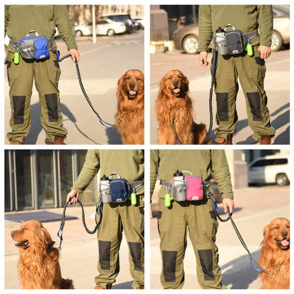 Outdoor Waterproof 3 in 1 Multi-Function Lead Dog Training Waist Bag Set