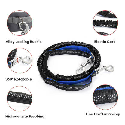 Outdoor Waterproof 3 in 1 Multi-Function Lead Dog Training Waist Bag Set