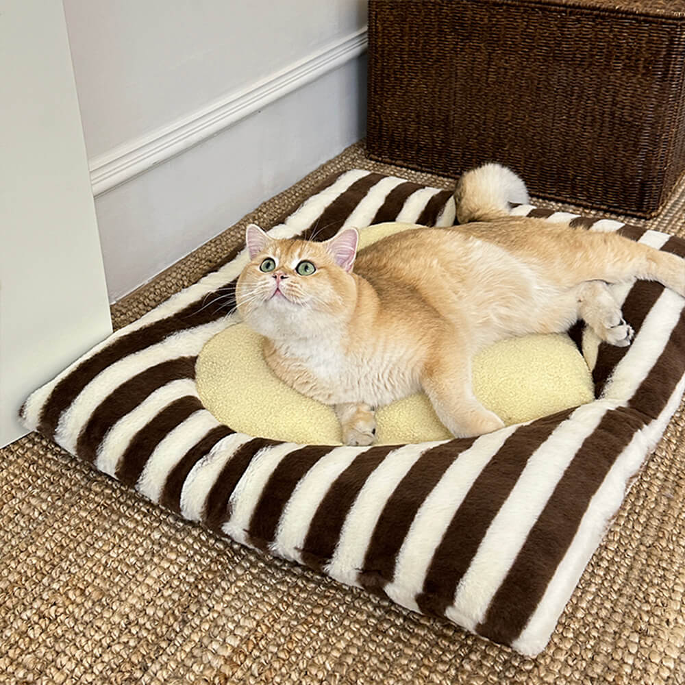 Cat mat discount