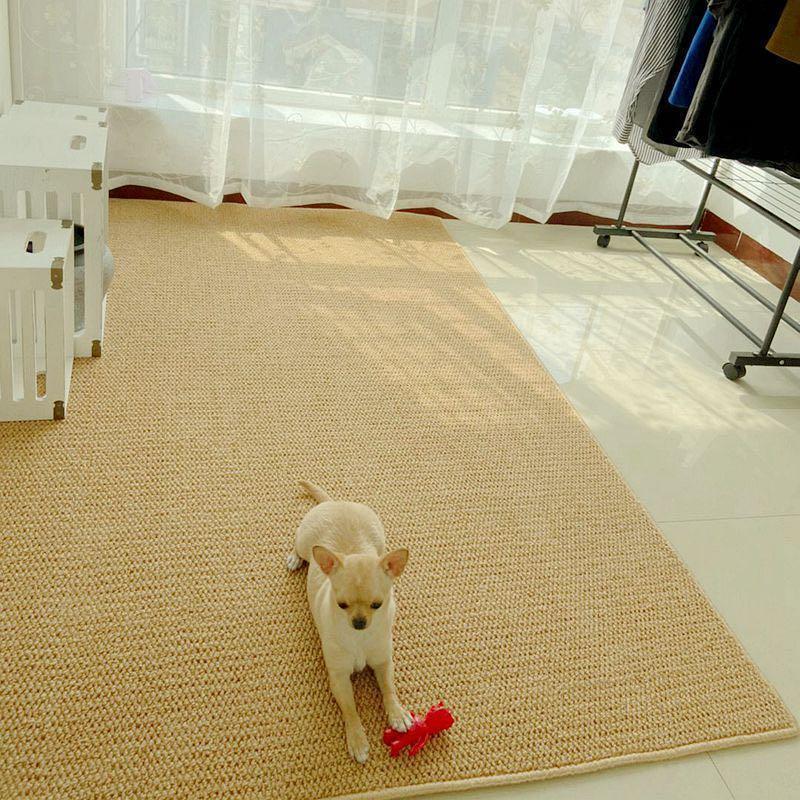 Faux Sisal Pet Rug Scratch-resistant Room Carpet