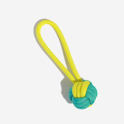 Interactive Cute Dog Chew Toy Set - Playful Fun