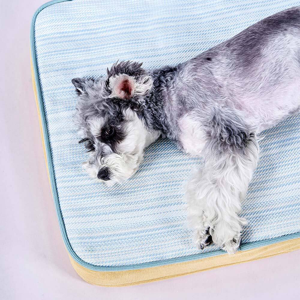 All Season Breathable Orthopaedic Dog Bed with Waterproof Liner and Pillow