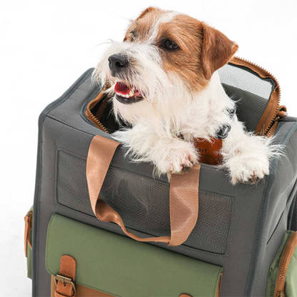 Dual-Colour Breathable Waterproof Canvas Outdoor Pet Carrier Backpack