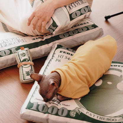 Durable Canvas Money-Themed Cat Bed
