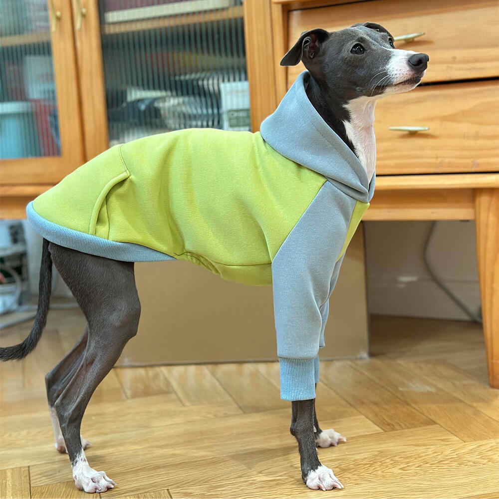 Lightweight Warm Thick Turtleneck Down Padded Dog Jacket Sweatshirt Set FunnyFuzzy